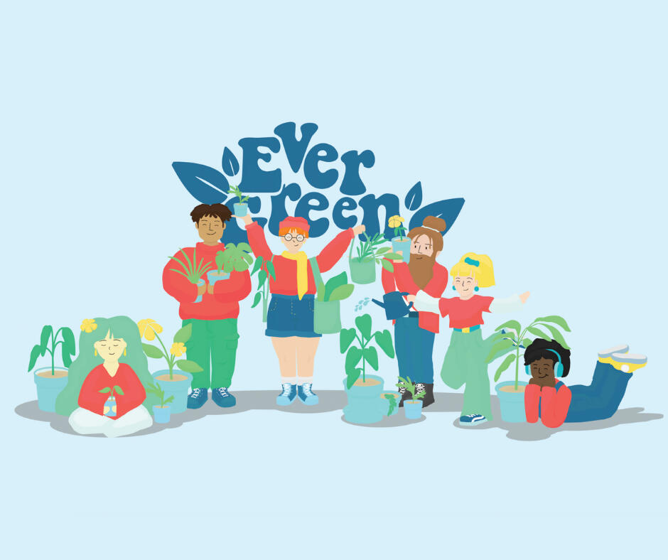 Evergreen Plant marketplace
